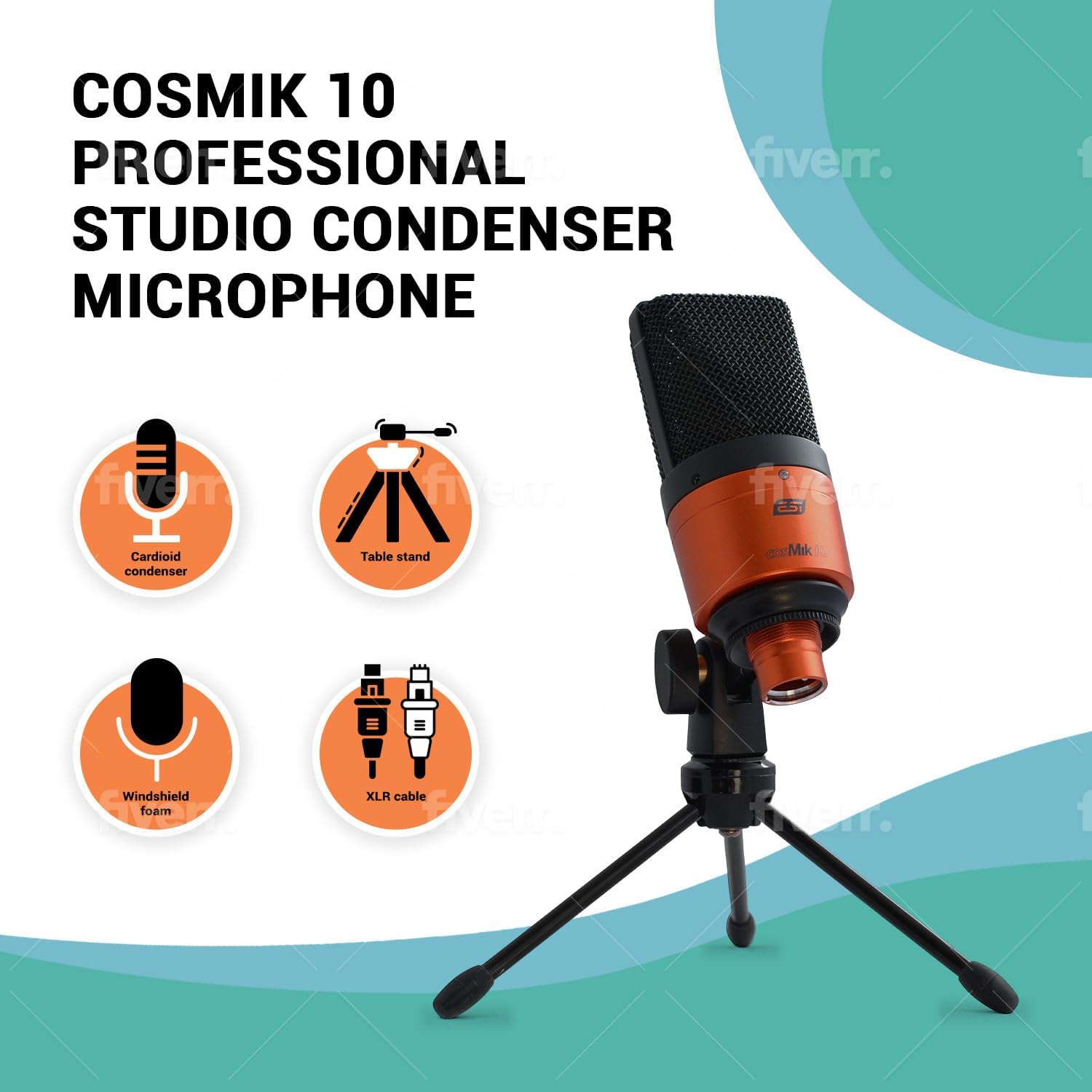 ESI cosMik 10 Professional Studio Condenser Microphone