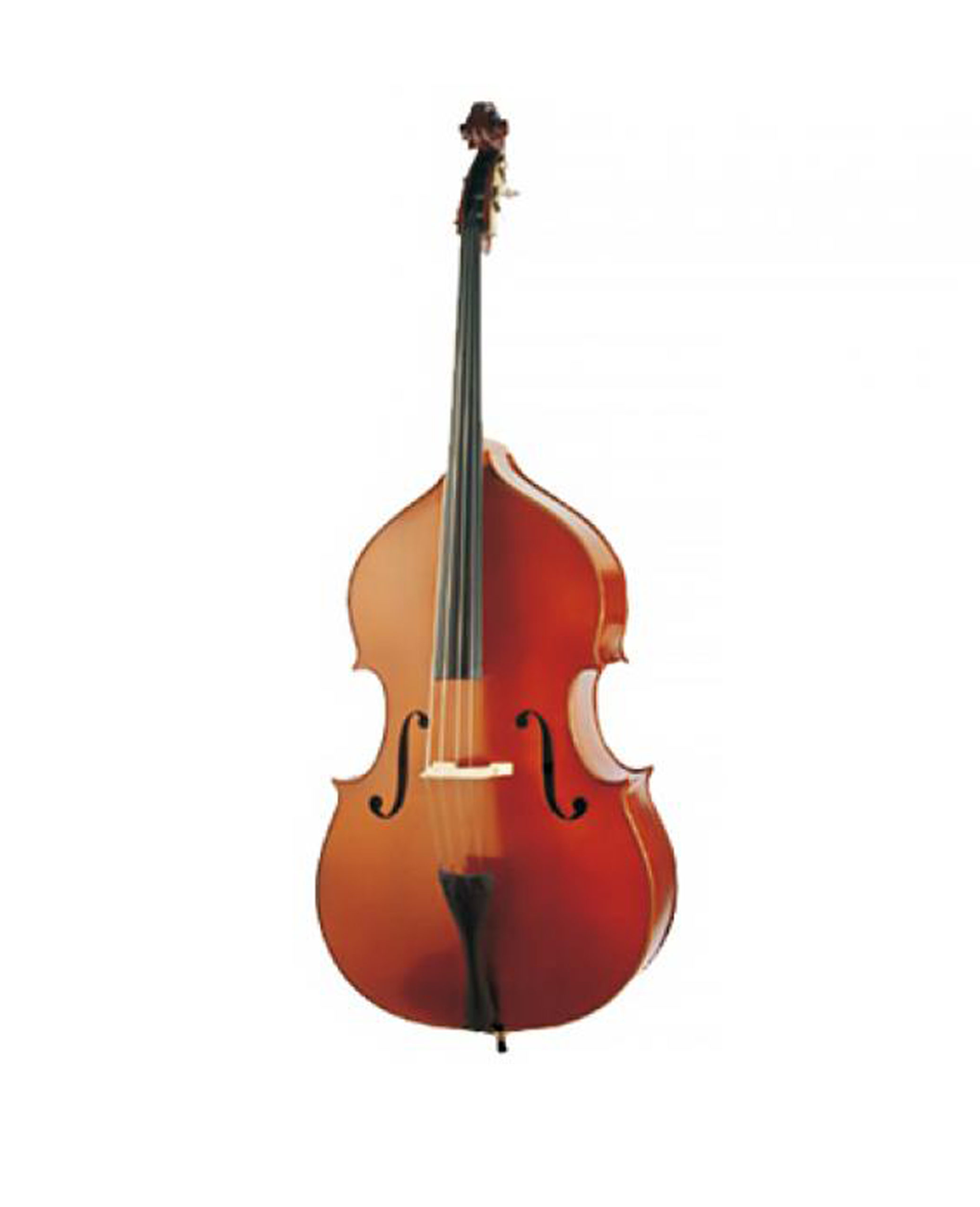 Double Bass 4/4(Violin Family)