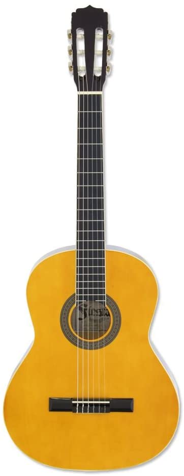 Aria FST200N Classical Guitar